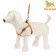 A set with a reflective ribbon, a collar of 120 x 1 cm, fire 26-40 cm, orange