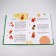 We sculpt from plasticine. Issue 2. Moskovka O., Bakhurova E.