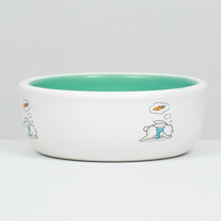 Ceramic bowl for rabbits 200 ml 10 x 3.7 cm, mint/white-2