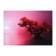 Picture on canvas "Tree" 50*70 cm