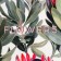 Set gift Ethel Flowers: a towel 40x73 cm, shoulder blade