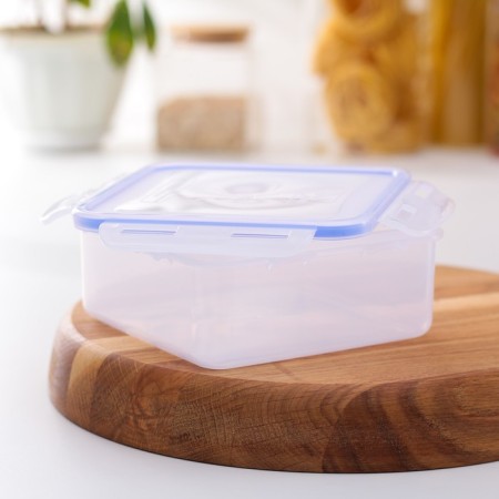 Container of food 900 ml with a sealed lid, color mix-1
