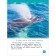 Sharks, whales and dolphins. Klyushnik L.V.