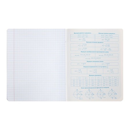 Substantial notebook "Bright color", 48 sheets in the "Algebra" cage, covered cardboard, selective varnish, with reference material-3