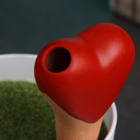 The irrigator "heart", 14 × 4.6cm, color mix, set 4 pcs.-2
