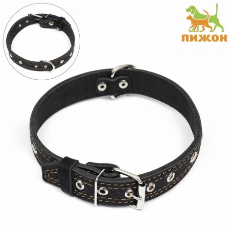 Collar of two-layer leather decorated, 64 x 3 cm, Osh 40-55 cm, black