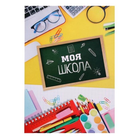 School folder on the rings "Portfolio of a schoolboy", 10 sheets-undergraduate, 24.5 x 32 cm.-22