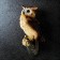 Suspending decor "Eagle owl" 11.5x11.5x24.5cm