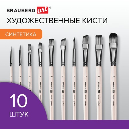 System of Synthetics 10 pieces, Brauberg Art Debut, in the PVC Penal