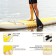 SUP Board Universal Kelpie 9.5 ", 290x80x15 cm