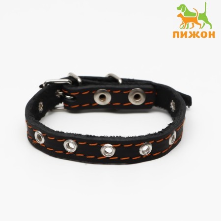 Collar leather single-layer, dimensionless, 37 x 1.5 cm, Osh 21-32 cm, black