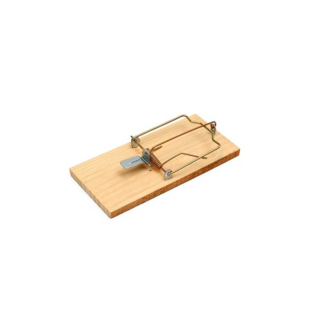 Root, 17 × 8 cm, wood, Greengo-6