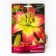 Lilia Asian Oklahoma City, 14/16 rr, 2 pcs. 70-100 h (cm), autumn 2024