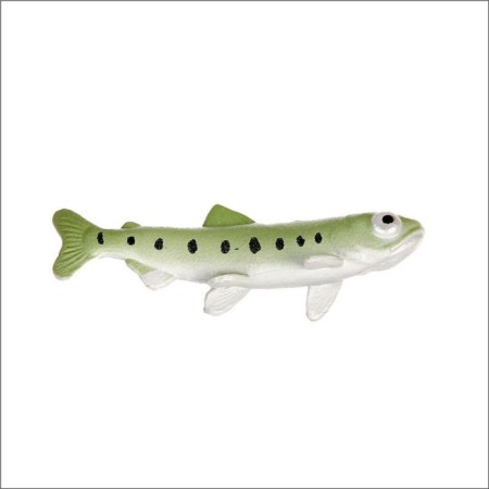 Training set "Stages of fish development" 5 figures-5