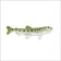 Training set "Stages of fish development" 5 figures