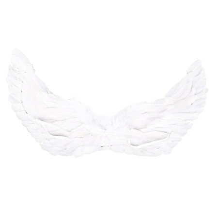 Carnival wings 30 × 60, MIX colors-1