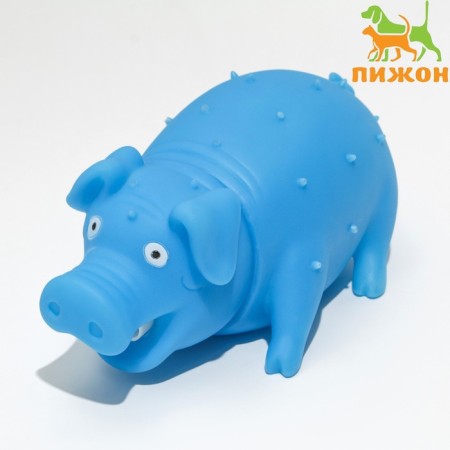 The squeak of "Funny pig" for dogs, grunting, 19 cm, blue