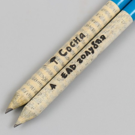 Growing gift pencils mini "blue spruce + pine" set 2 pcs.-3