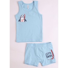 Set for a boy: T -shirt, panties, height 140 cm, blue color