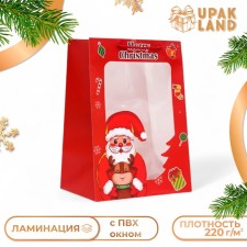 Пакет подарочный с окном"Дед мороз",   25 х 35 х 18 см, красный