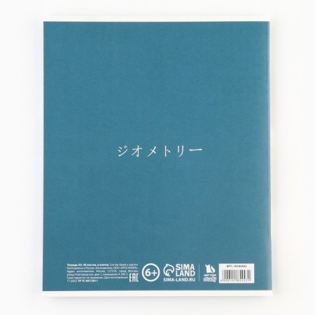 Subject notebook A5, 48 liters on the paper clip "September 1: anime. Geometry" VD LAK-3