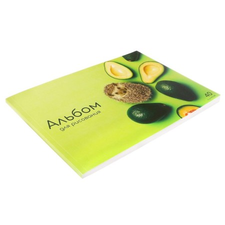 Album for drawing A4, 40 sheets on the gluing "Avocado", covered cardboard, block 100 g/m²-1