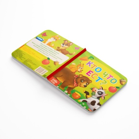Books Cardboard set “We are getting acquainted with the outside world”, 4 pcs. 10 p.-2