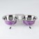 A set of 2 colored bowls on a stand, 2 x 350 ml