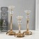 Summary metal, glass "Olivia" d = 4 cm, set 3 pcs h = 33 cm, 27 cm, 22 cm