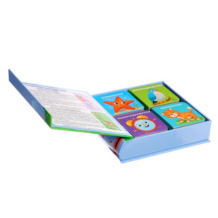 Books Cubes. Books of talker for launching speech-9