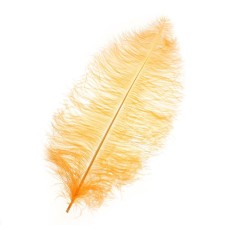 Feather for decor, length: from 45 to 60 cm, peach color