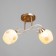 Chase "Olivia" 2x60W E27 gold, white 33x43x28cm