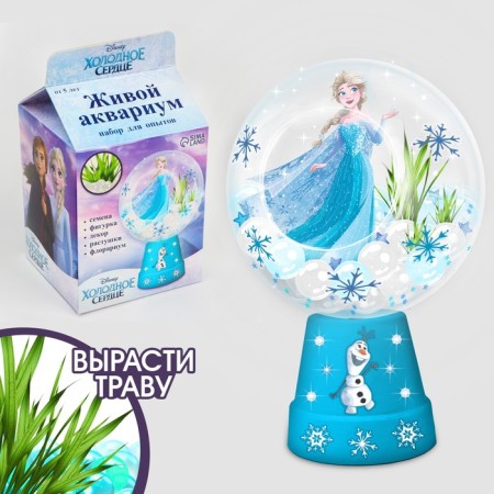 Set for experiments "Wonderful Florarium" cold heart