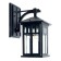 Sadovo-park lamp Feron PL671, IP44, E27, 60 W, 220x155x315 mm, black color