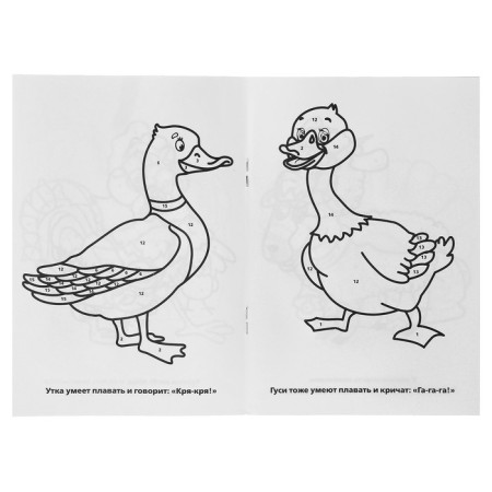 Coloring by numbers "Pets", Umka-1