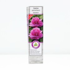 Pion tree 