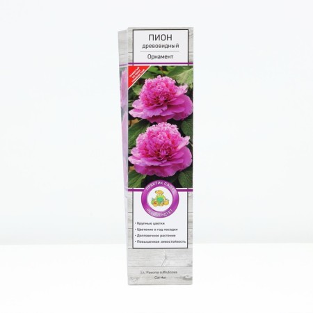 Pion tree "Ornament", tube, 1 pc, spring 2025