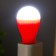 Nightlight "light bulb" Led usb mix 3.5x3.5x6.5 cm Risalux
