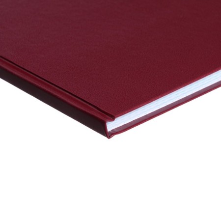 Book of accounting, 96 sheets, boumvinyl cover, offset block, cage, burgundy color-2