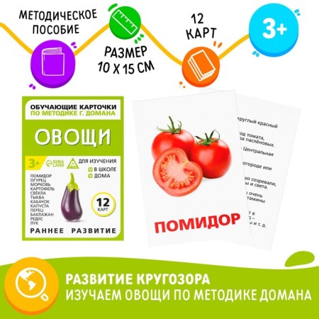 Training cards according to the methodology of Doman "Vegetables"