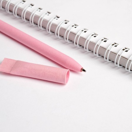 Set "8 Marrrt cheetah": A5 diary A5 80 sheets and eco -hand-8