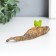 Souvenir Polystone "Frog with a snail on the leaves" 3.5x13.1x3.5 cm