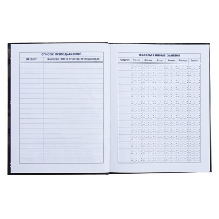 Diary for grades 5-11, 48 sheets "Duck Frick", solid cover, glossy lamination-6