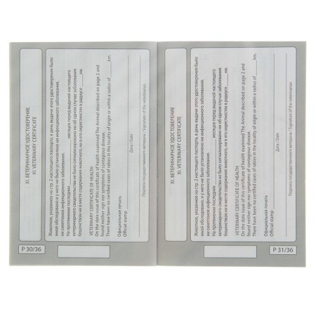 Veterinary Passport International Universal Pijon, 36 pages-8