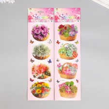 Stick Paper, Plastic 