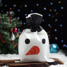 Gift bag 