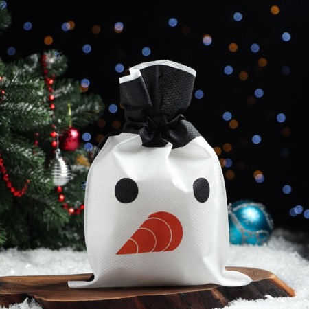 Gift bag "Snowman", 22 x 31 cm