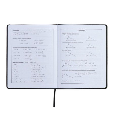 Universal Diary Grade 1-11, 48 sheets "Girl", hard cover of artificial leather, lies, universal cheat sheet, block 80 g/m2-8
