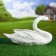 Garden figure "Swan floats" 26x46cm