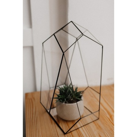 Florarium "Mayak", Sweds Silver-2